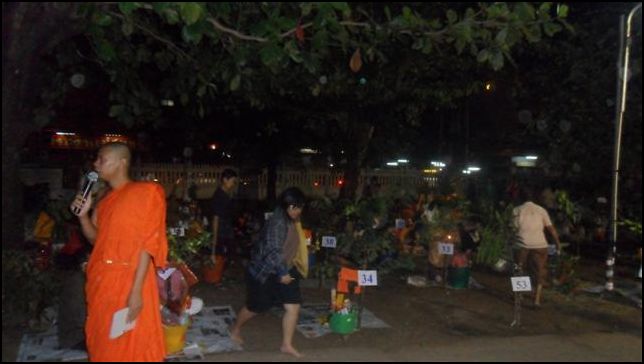 SAM_1116 (Small)